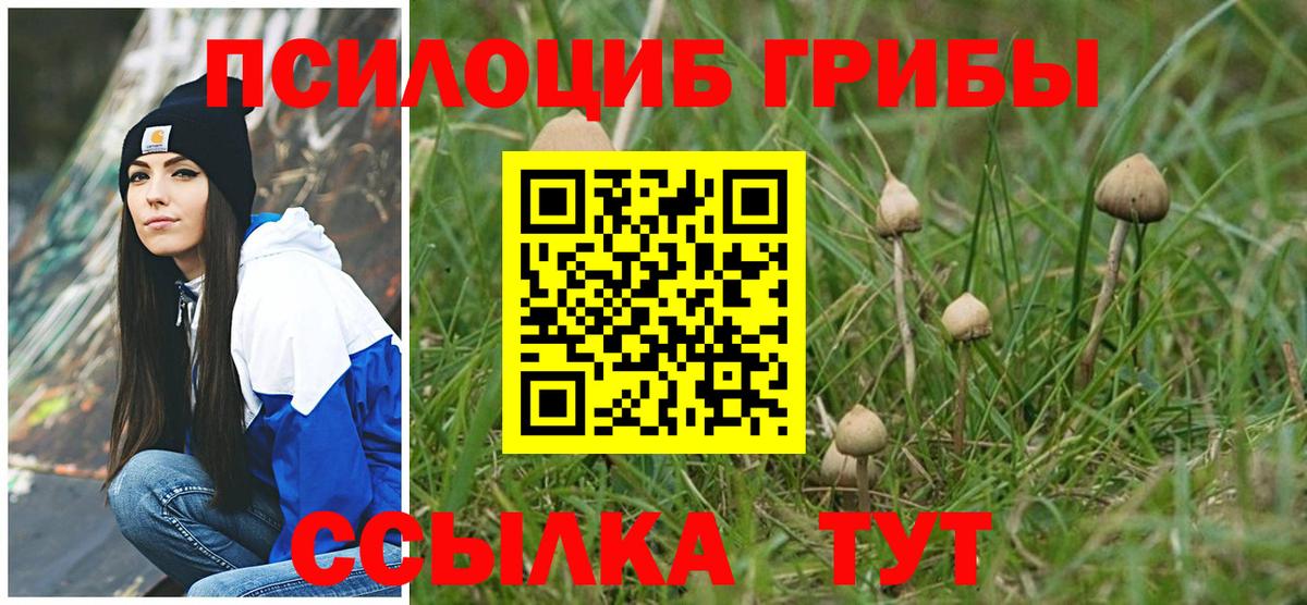 Псилоцибиновые грибы мицелий Великий Новгород