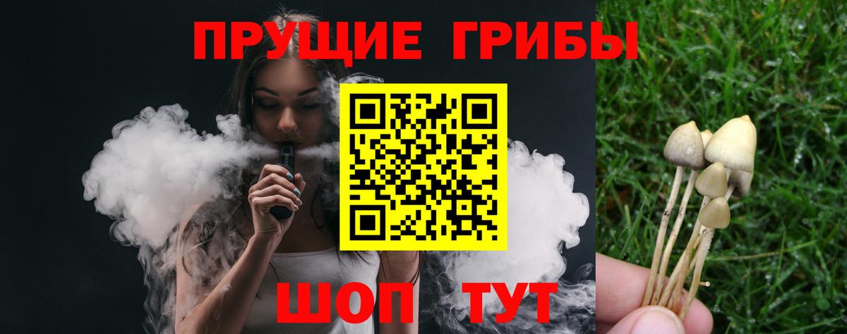 Псилоцибиновые грибы Magic Shrooms  Вход с VPN  Псилоцибиновые грибы мицелий  Великий Новгород 