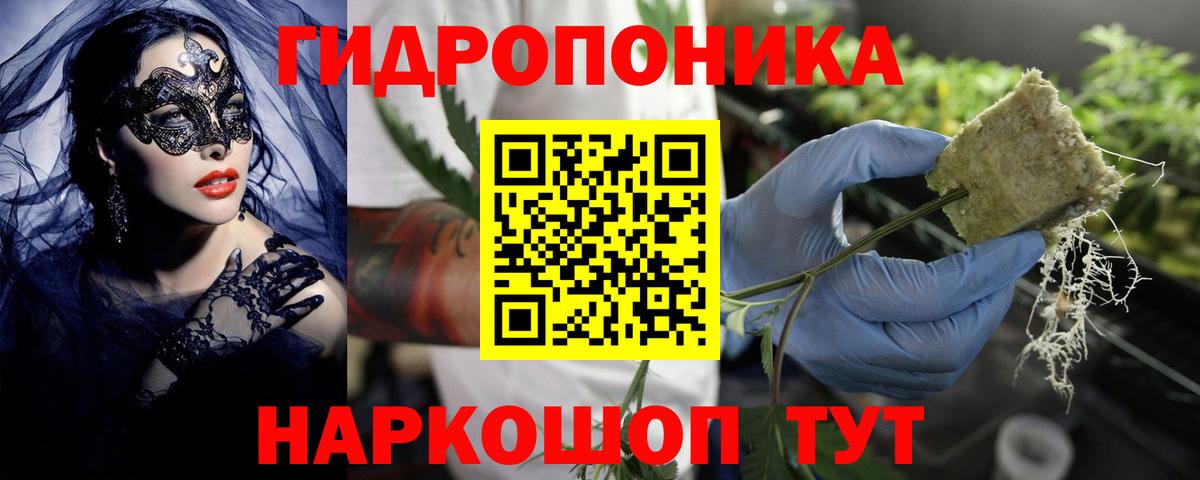 Великий Новгород  Бошки марихуана White Widow  Шишки марихуана ГИДРОПОН  Марихуана конопля  Вход с VPN 